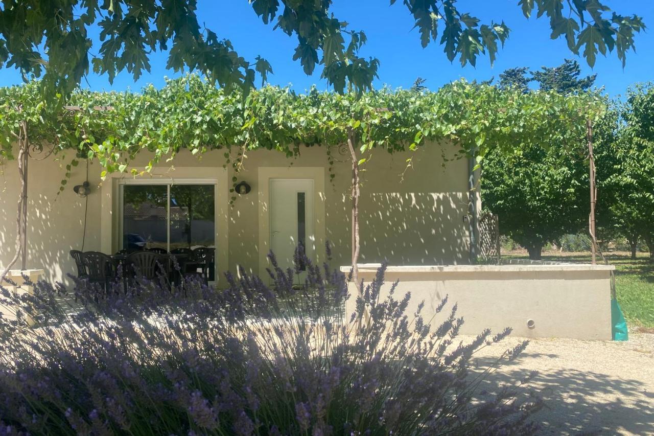 Le Ribbou Vila LʼIsle-sur-la-Sorgue Exterior foto